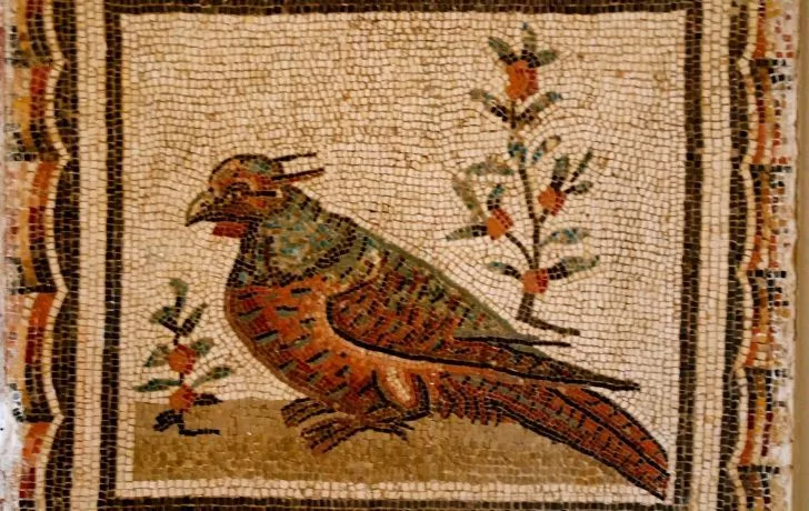 Мозаика с изображением птицы, которая была популярным домашним животным Древнего Рима