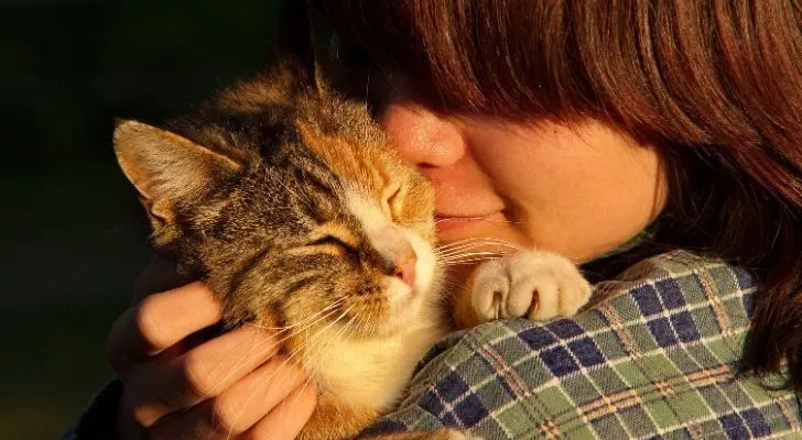 Человек-кошка, обнимающий кошку на плече