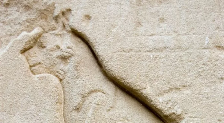 Древнеегипетская кошка на каменной стене
