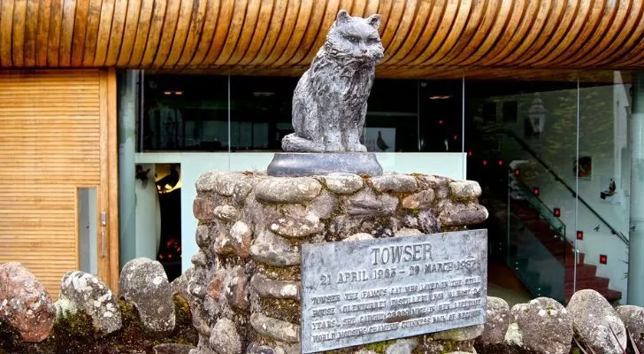 Статуэтка кота Таузера с мемориальной доской