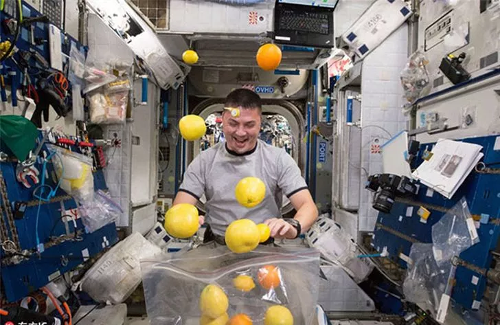 В 2015 году астронавты впервые съели пищу, выращенную в космосе