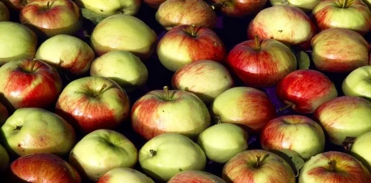 Яблоки, покачивающиеся вверх-вниз и в воде