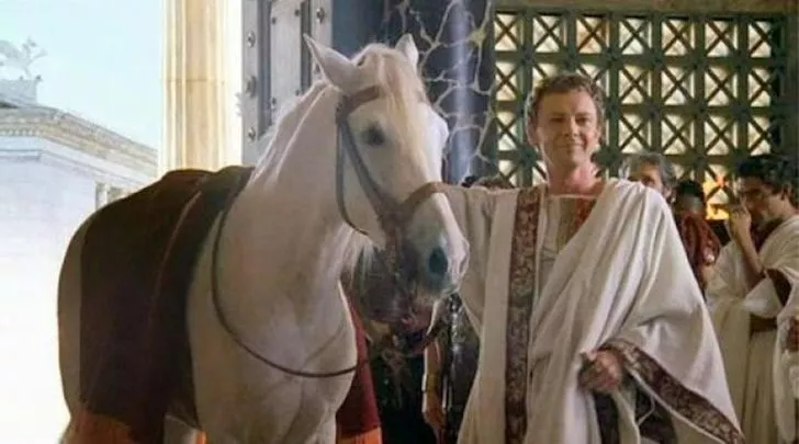Римский император Калигула сделал одну из своих любимых лошадей сенатором