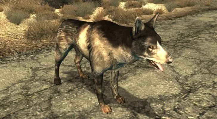Собака Догмит из Fallout 3