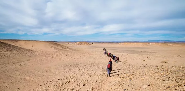 Только четверть пустыни Сахара - песчаная