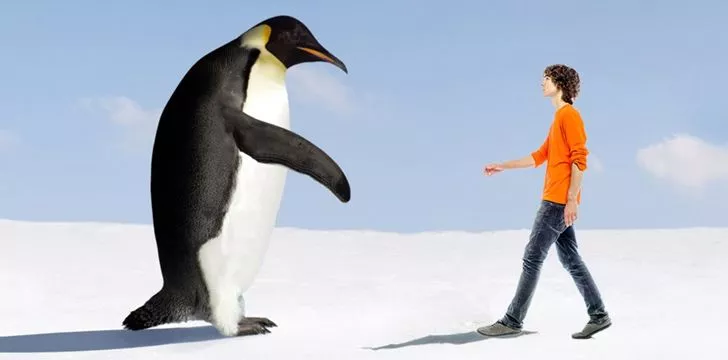40 миллионов лет назад пингвины были ростом 6 футов