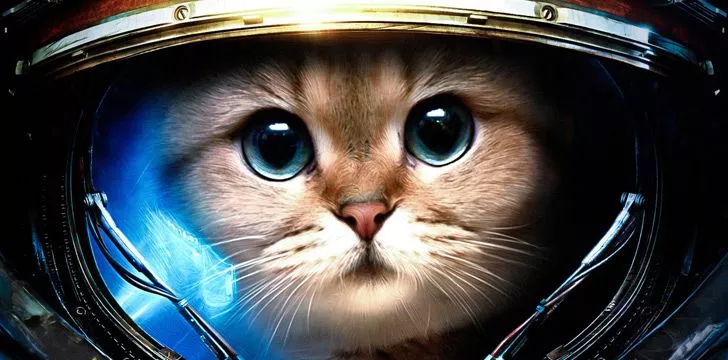 Движение падающих кошек используется в качестве части тренировки астронавтов