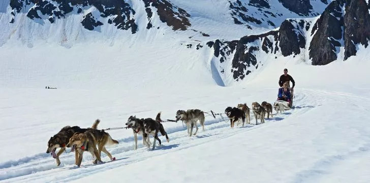 Катание на собачьих упряжках - официальный вид спорта на Аляске