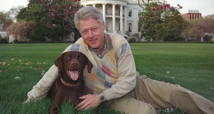 Билл Клинтон со своей собакой сидит на траве у Белого дома