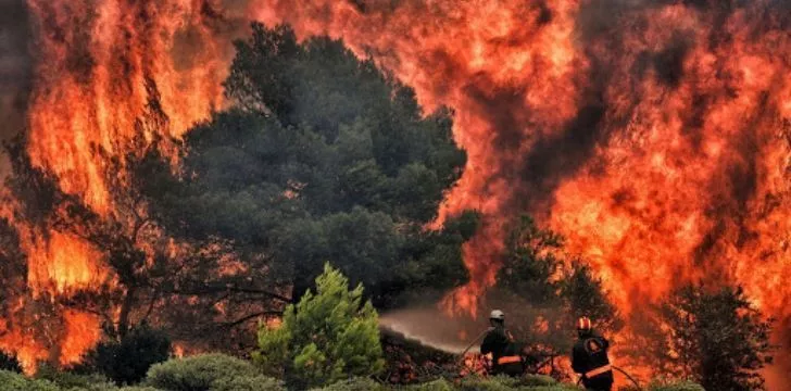 Изменение климата усиливает лесные пожары