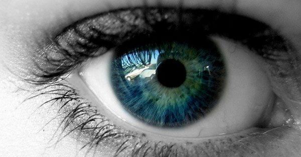 20 удивительных фактов о глазах, которые выяснили ученые