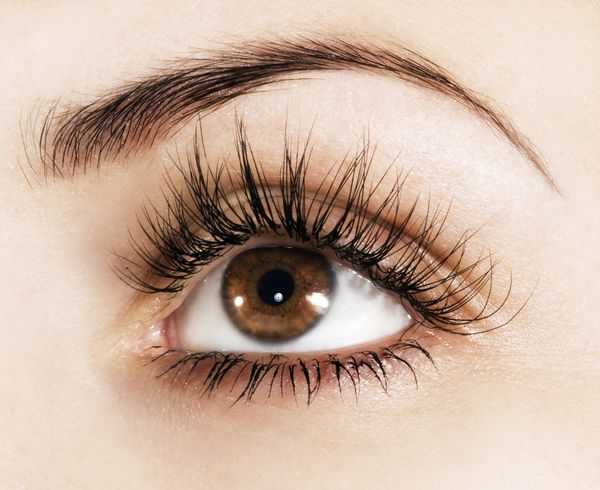 20 удивительных фактов о глазах Сканирование сетчатки глаза