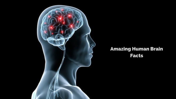 20 удивительных фактов о человеческом мозге em-up компьютерные игры