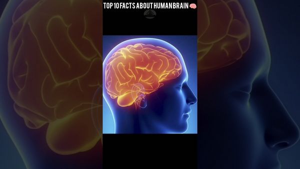 20 удивительных фактов о человеческом мозге