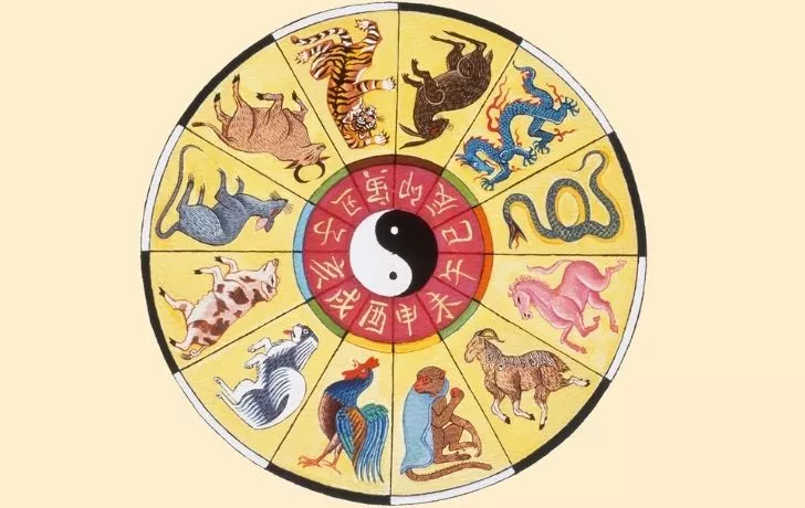 Китайское животное зодиакальное колесо с изображением двенадцати различных животных