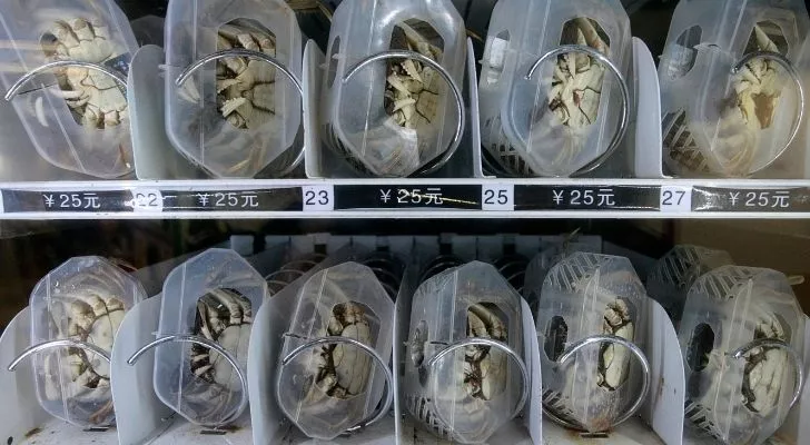 Крабы продаются в торговом автомате по 25 юаней за штуку