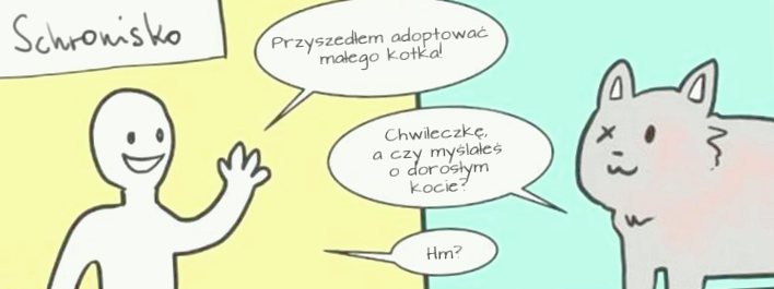 Вы подумываете о том, чтобы приютить кошку, предварительно посмотрите этот комикс