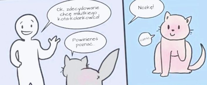 Вы подумываете о том, чтобы приютить кошку, предварительно посмотрите этот комикс