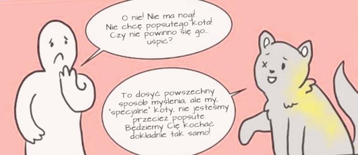 Вы подумываете о том, чтобы приютить кошку, предварительно посмотрите этот комикс