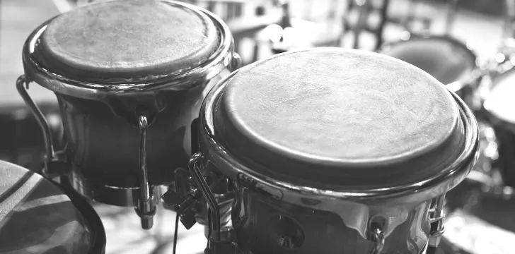 Полутоновое изображение пары барабанов бонго