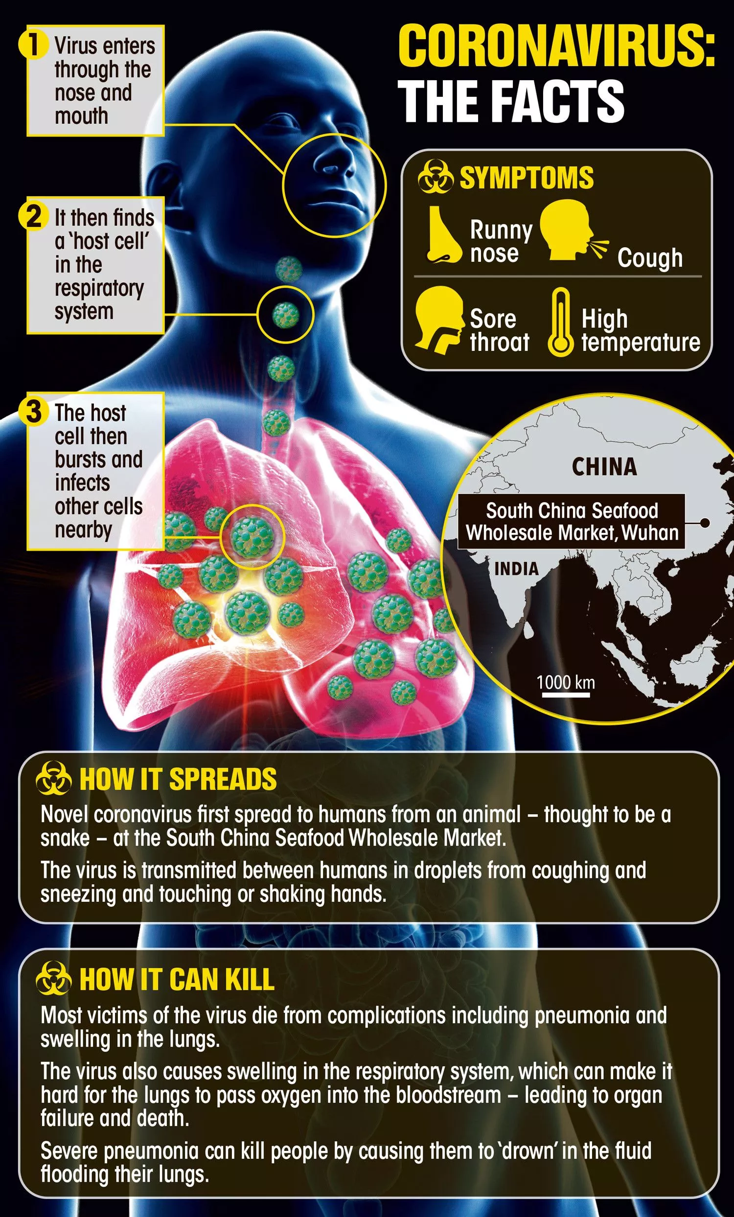 Инфографика о коронавирусе