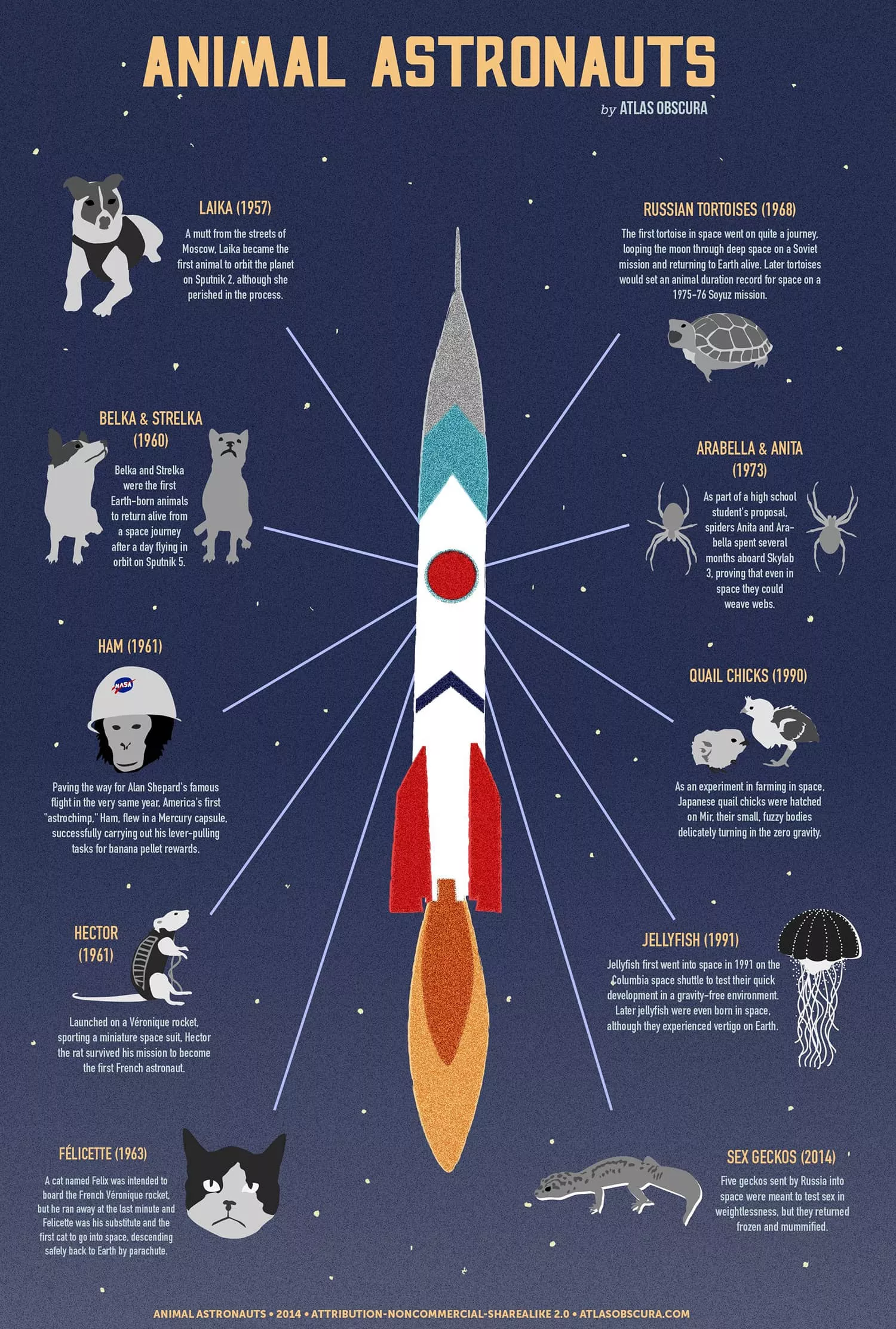 Животные, побывавшие в космосе Инфографика