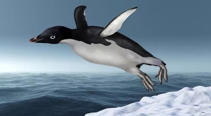 Летающий пингвин