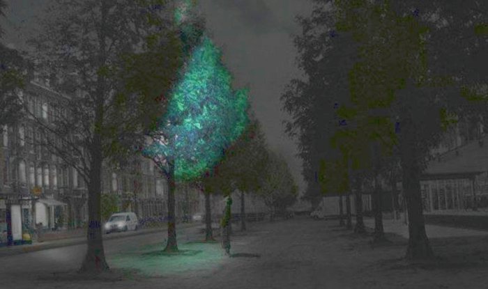 Появятся ли в ближайшем будущем на улицах города фонари вместо деревьев
