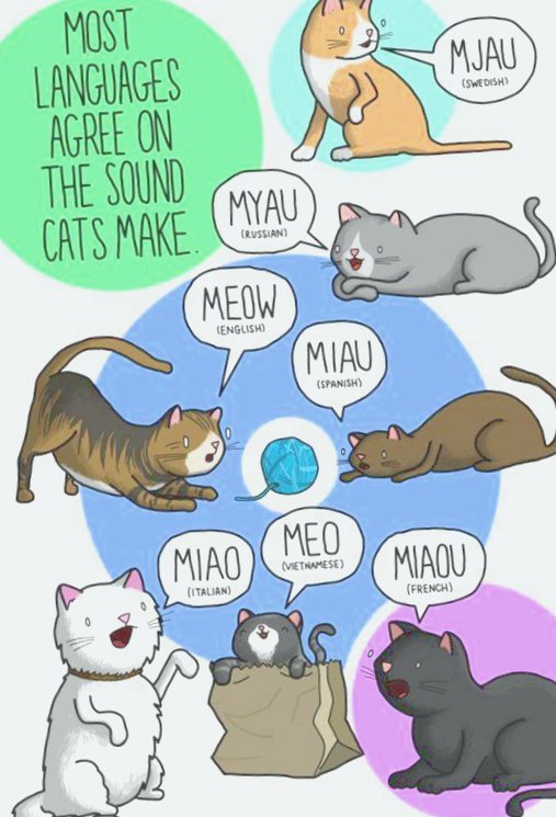 Какие двики произносят животные на других языках