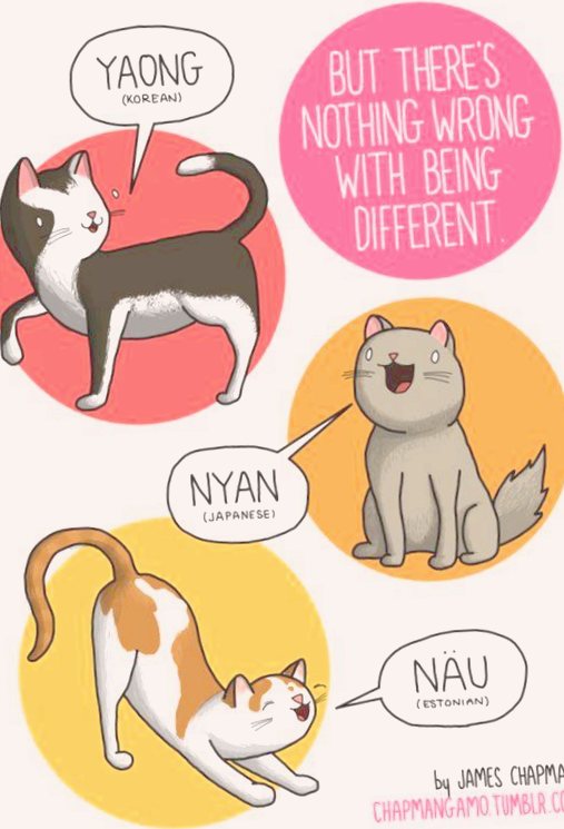 Какие двики произносят животные на других языках